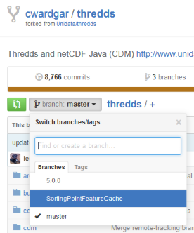 Selecting a branch on GitHub.